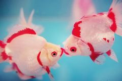 �������~����